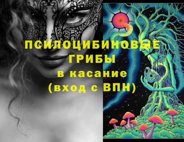 стафф Аркадак