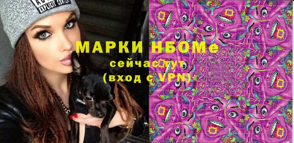 стафф Аркадак