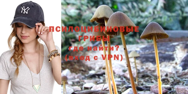 ALPHA PVP Армянск